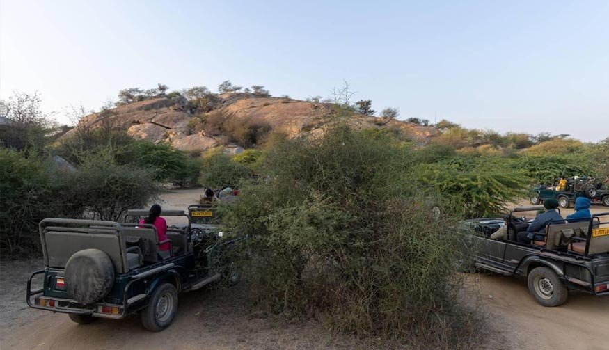 jawai-safari-udaipur-1